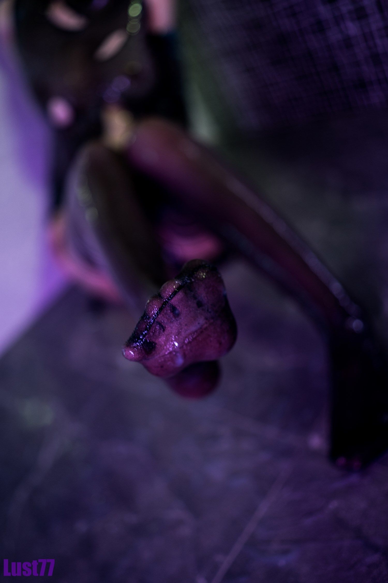 [福利COS] 动漫博主柒柒要乖哦 - 白液俘虏第26张