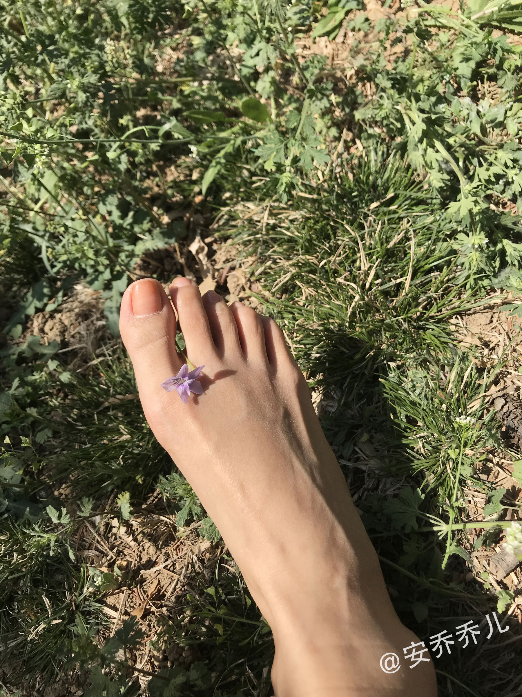 [福利COS] 安乔乔儿(Nia乔乔) No.018 夏天的风第35张