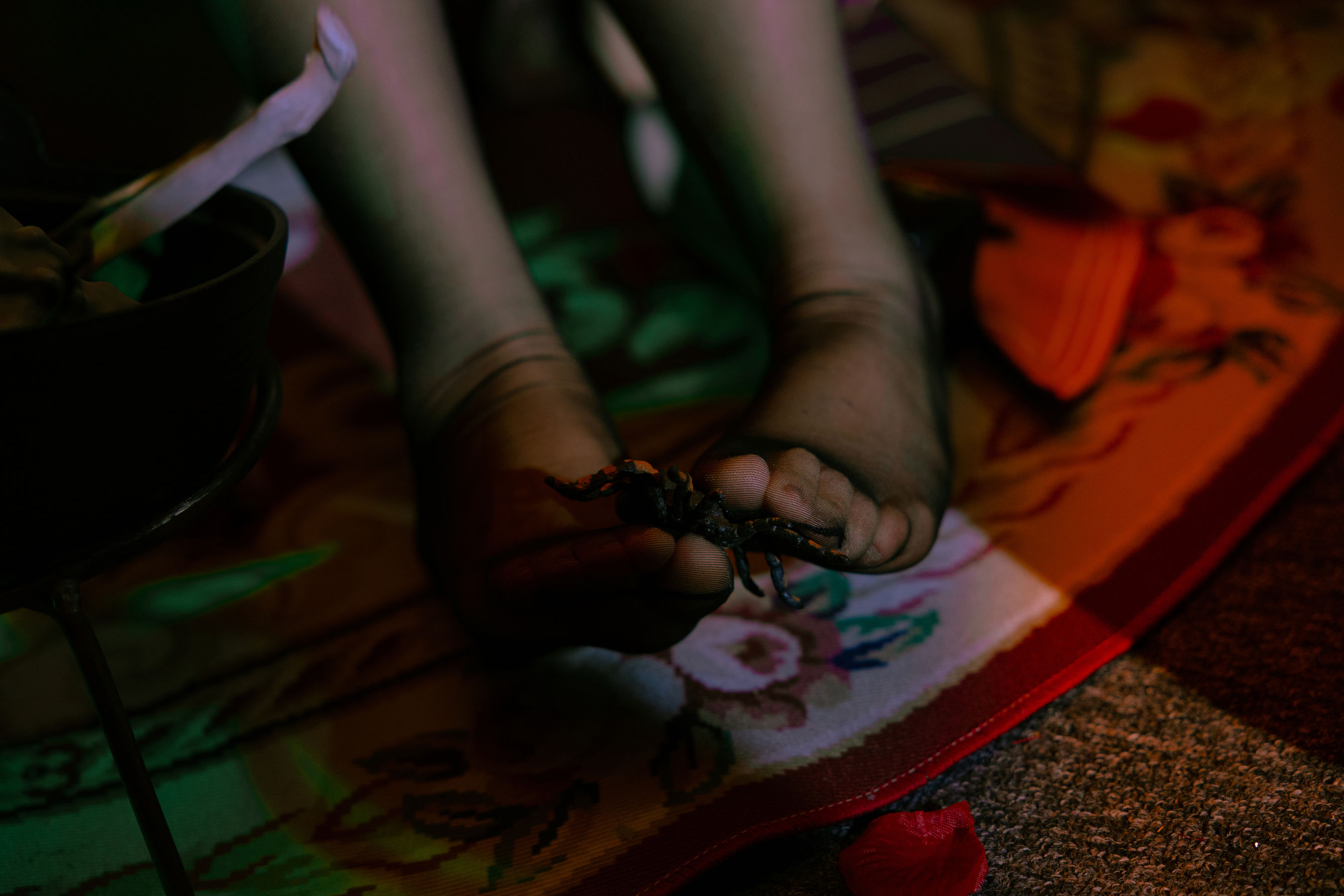 [福利COS] Cosplay日奈娇 - 孟菲斯第8张