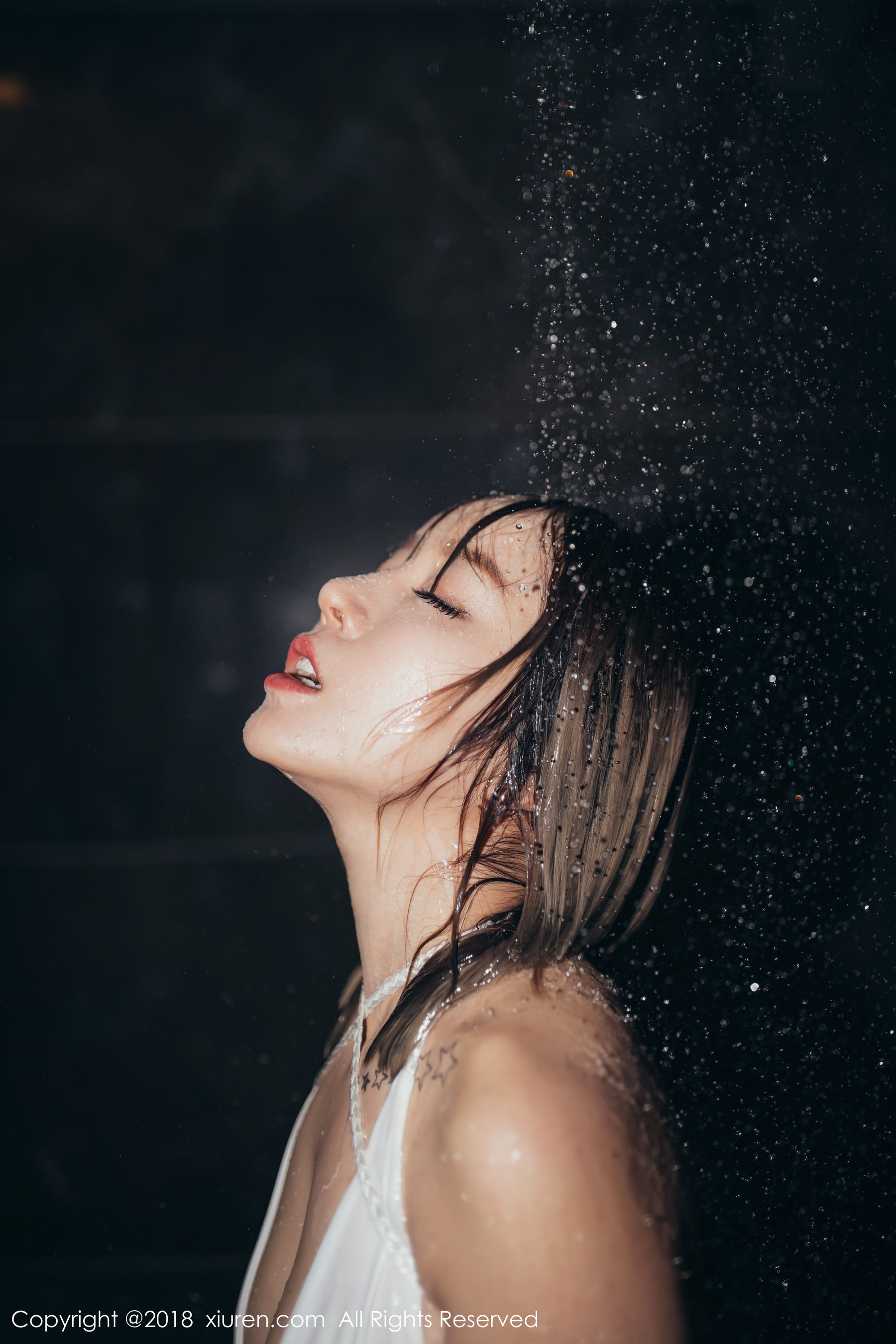 XiuRen 秀人网 No.1139 王雨纯第13张