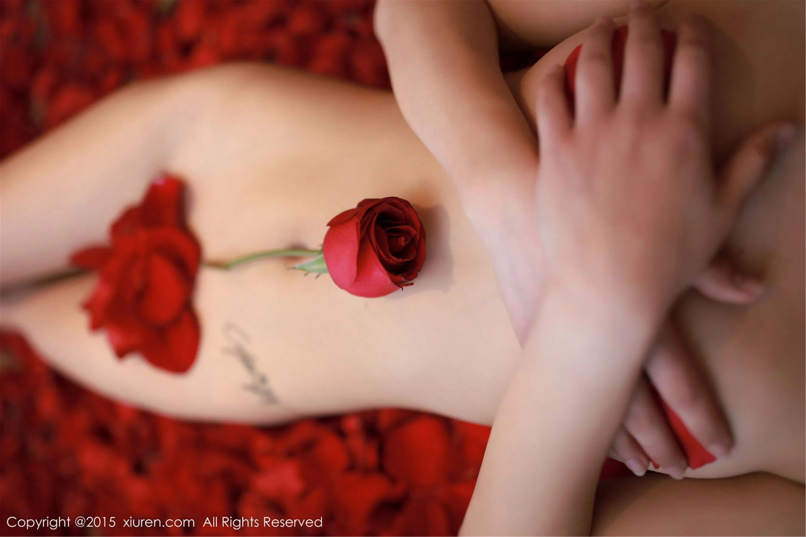 CyberJelly霜爷《性感内衣私房系列》 秀人网 No.276第8张