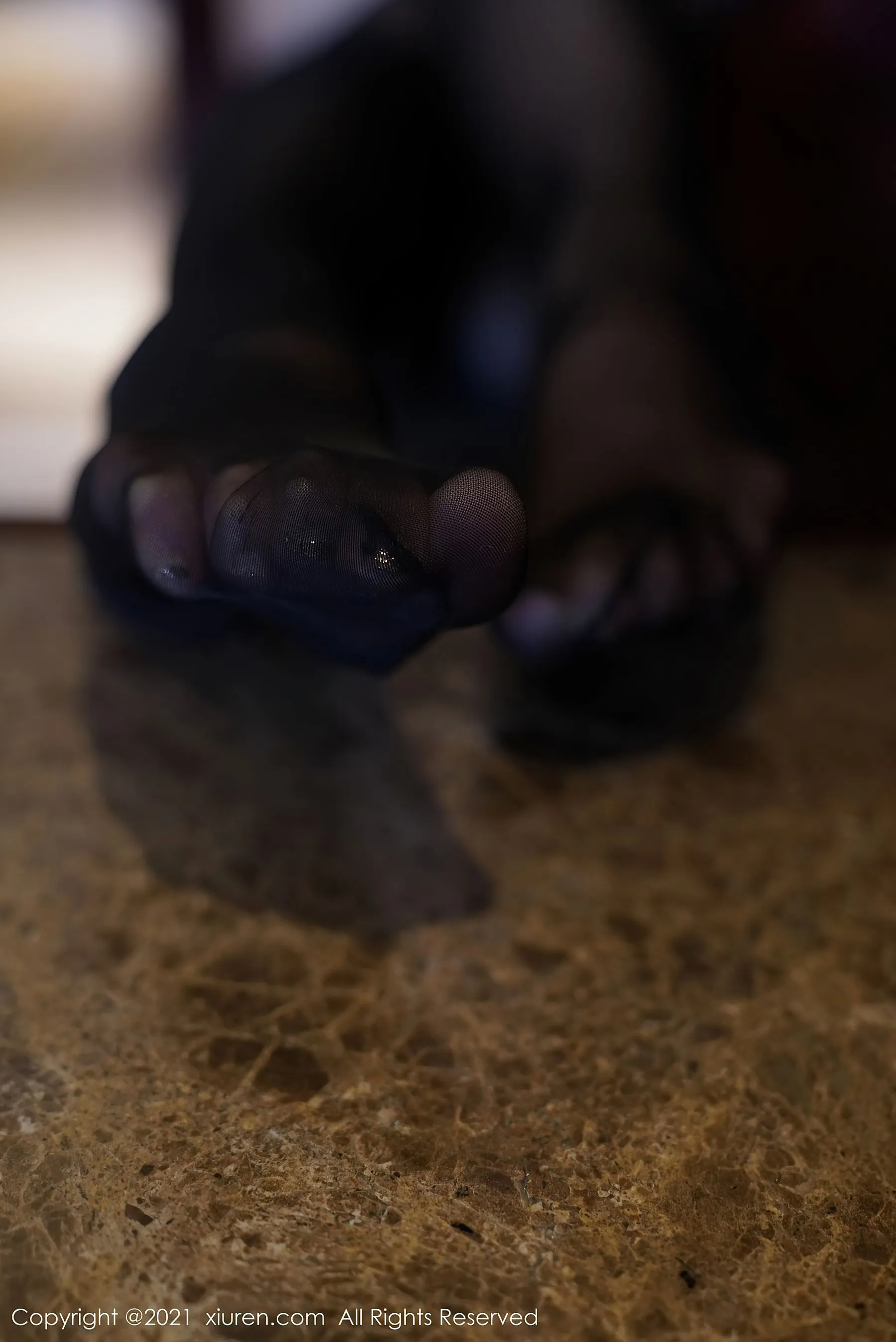 秀人 No.3207 果儿Victoria第9张