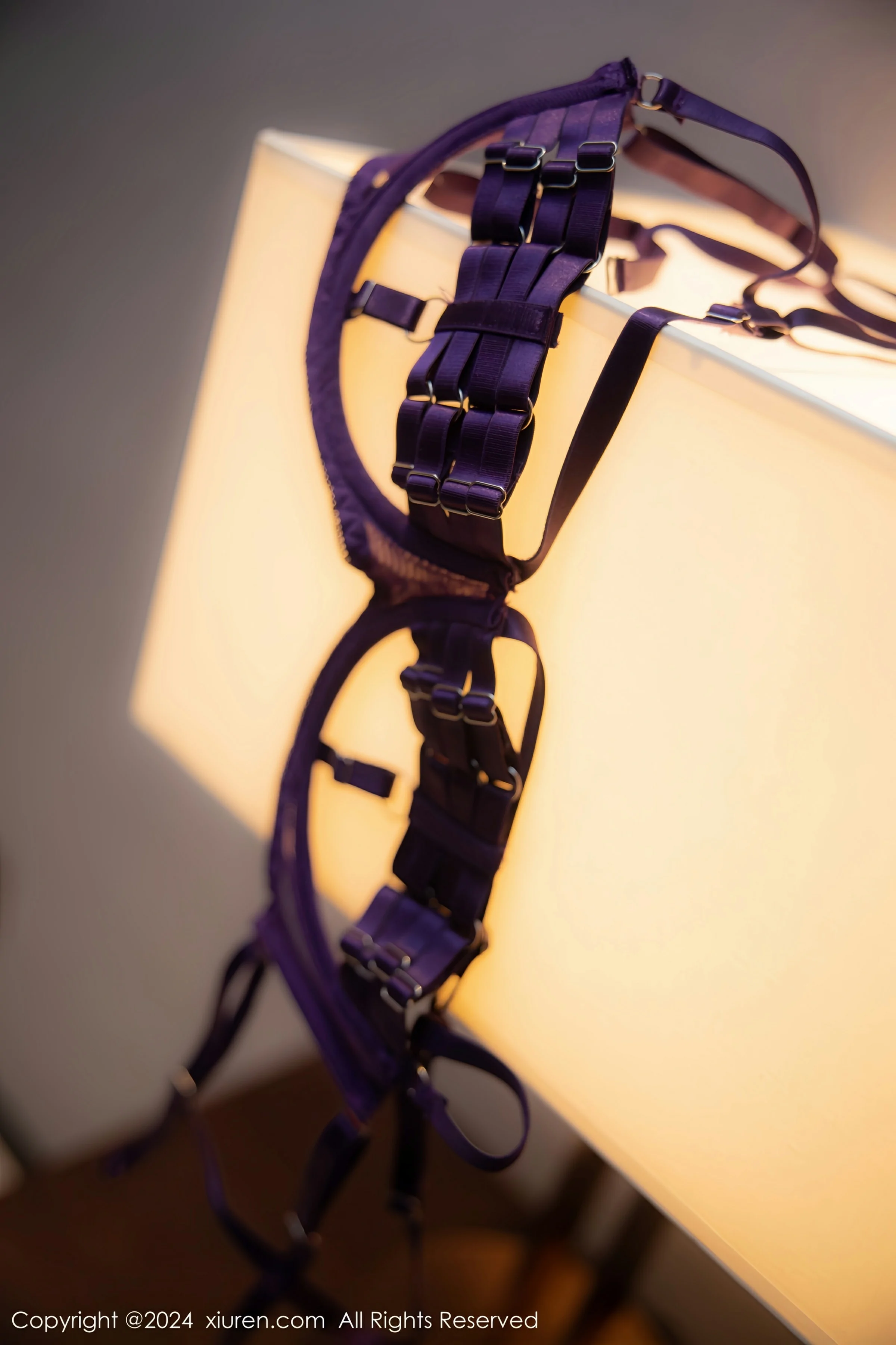  XiuRen 秀人 No.8046 李若汐 [94P]第24张