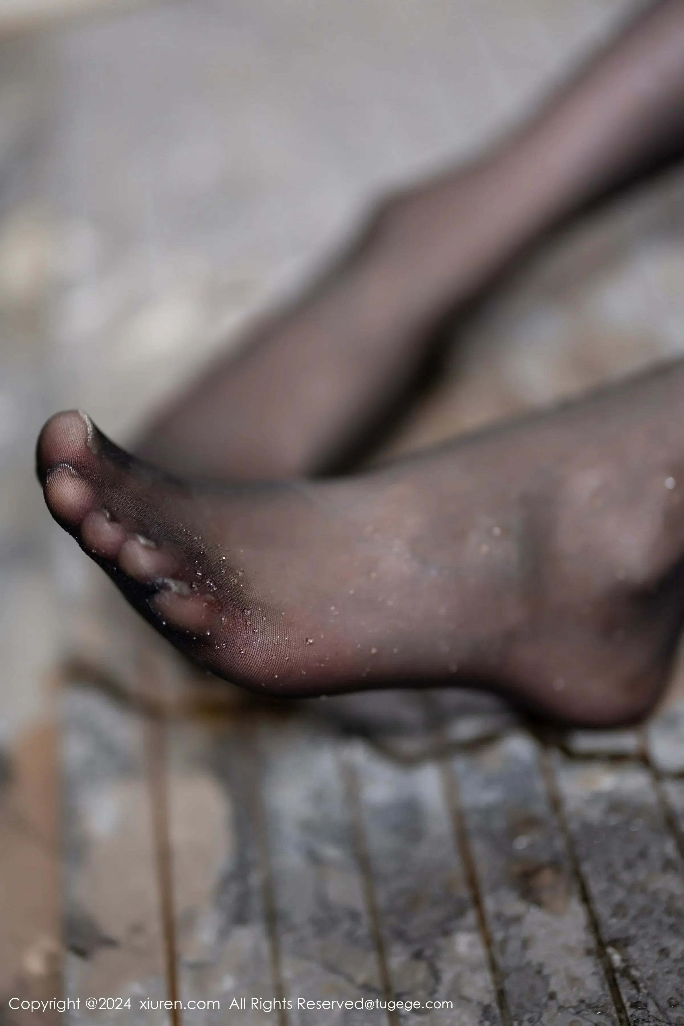  XiuRen 秀人 No.8267 梦心玥 [83P]第13张