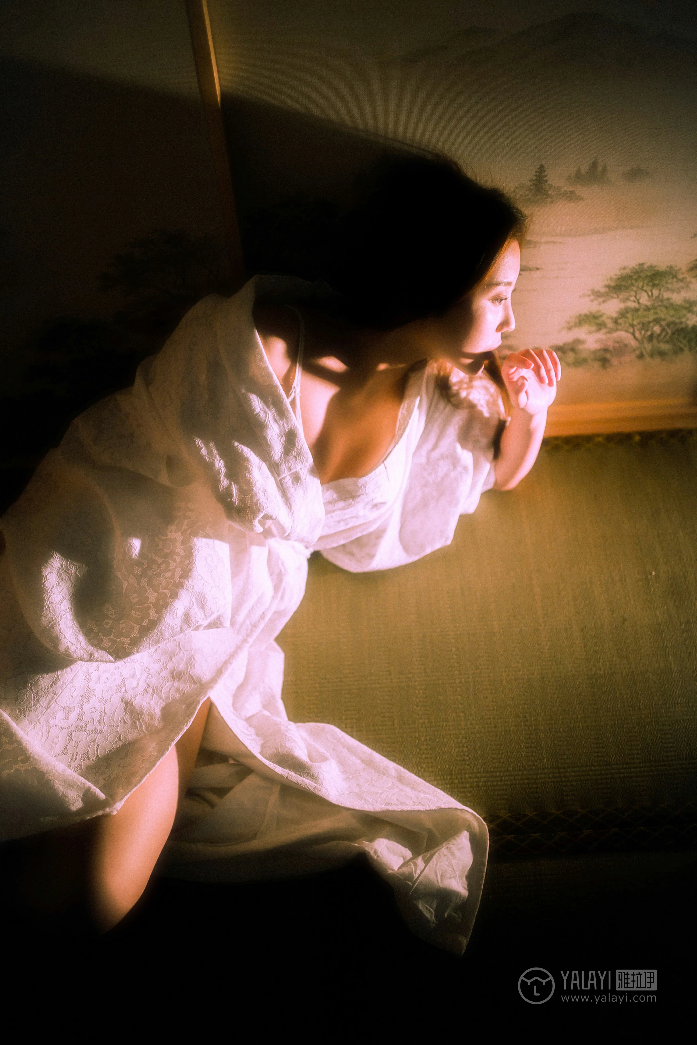 [YALAYI雅拉伊]No.202 夜光 圆圆 白色透视蕾丝镂空睡衣性感私房写真集第3张