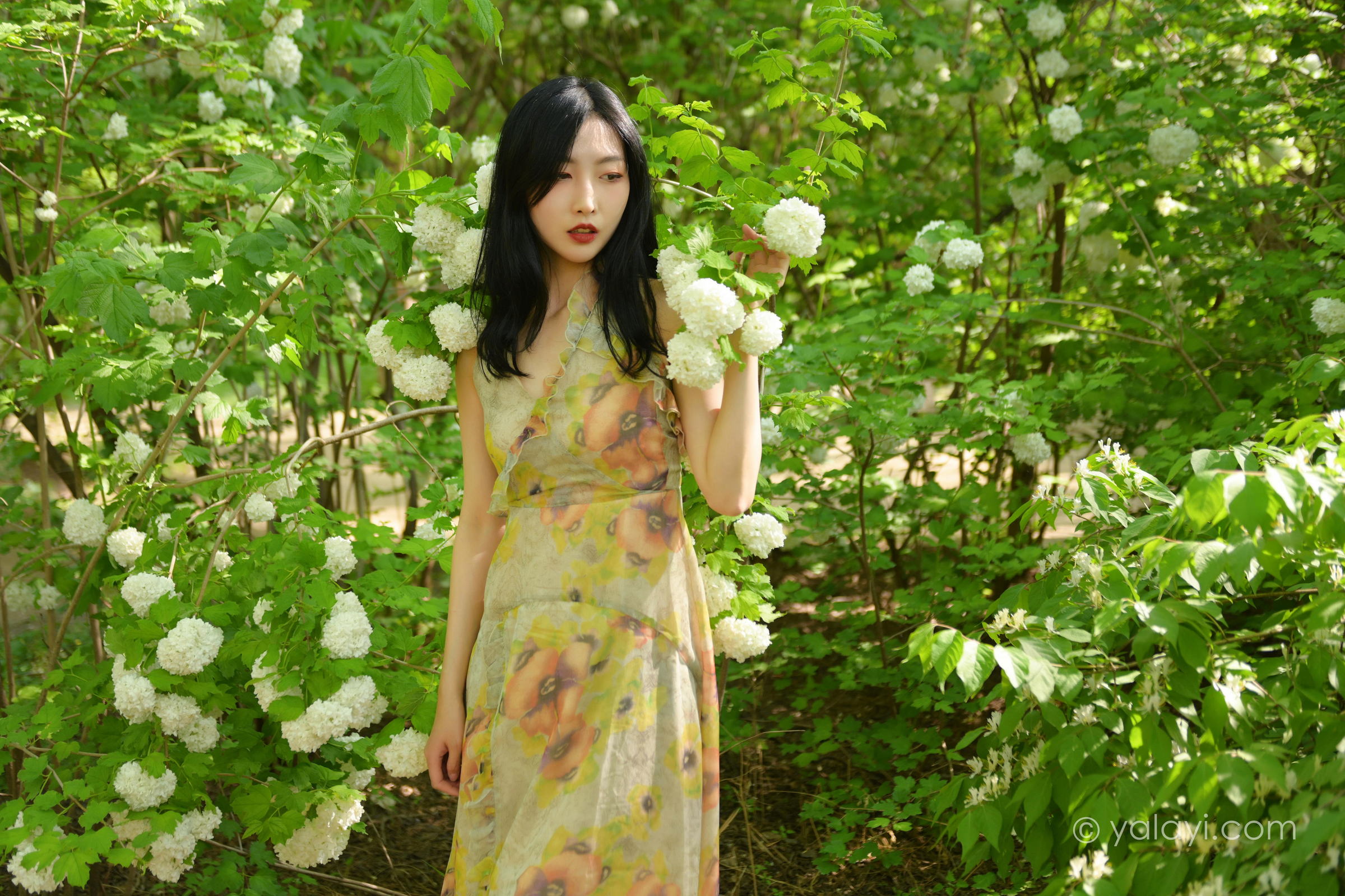 [YALAYI雅拉伊]2022.06.15 气息 佳佳 白色裸背短袖加黄色长裙清纯写真集第1张
